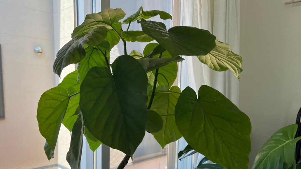 ペットがいる家庭での管理方法